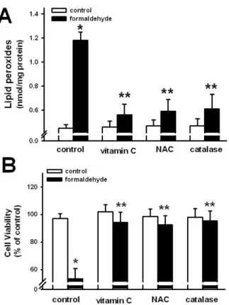 Fig. 3. Effect of antioxidants on formaldehyde-induced  increase of lipid peroxide formation (A) and decrease of  cell viability (B) in cultured Raw 264.7 cells