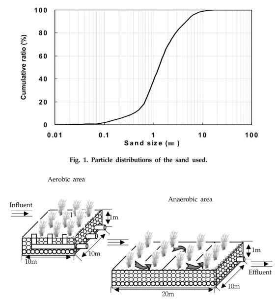 Fig. 2. Diagram of environmentally friendly constructed wetlands for treating sewage.