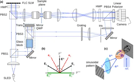 Fig. 1. (a) Schematic of the setup. PBS, polarization beam splitter; HWP, half-wave plate;