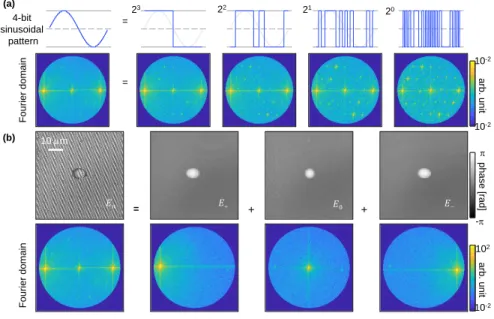 Fig. 2. (a) Digital time-multiplexing scheme for sinusoidal illumination. A single sinusoidal