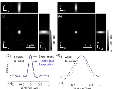 Fig. 5. (a),(b) Cross-sectional image of the (a) experimental and (b) theoretical point spread