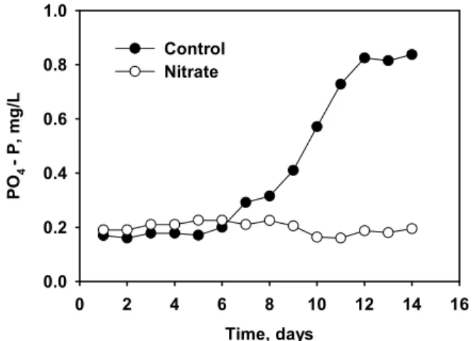 Fig. 5. Effect of nitrate on phosphorus solubilization in  flooded paddy soil. Concentration of phosphate ion was  measured in soil solution sampled at 10 cm depth