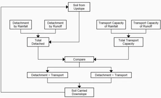Fig. 1 Transport capacity in a capacity-limted approach (Meyer and Wischmeier, 1969; Her, 2011)data for application of the equations would be crucial 