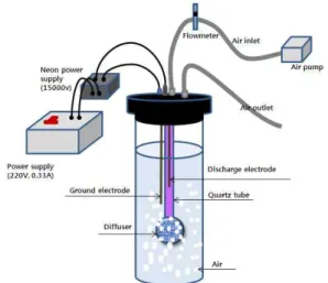 Fig. 1. Schematic diagram of the experimental apparatus. 