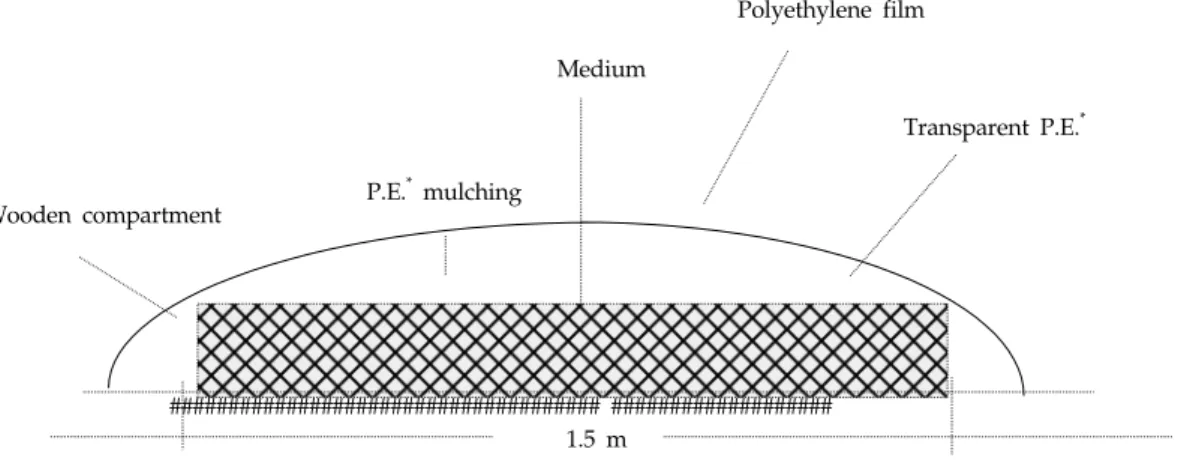 Fig. 1. Formula of medium layer at ground nursery in greenhouse.