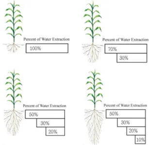 Fig. 1  Soil moisture extraction pattern of 4 layers about crop growth(Curve Number) 으로 토지피복도와 수문학적 토양군에 의해 결정되는 상수이다