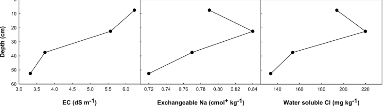 Fig. 2. Salt distribution patterns inner the profiles of soils selected in the target plastic film house complex (n=8) Table 2
