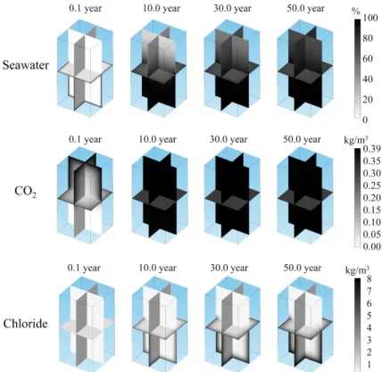 Fig. 2 Penetration distributions of seawater, CO 2  and chloride ion depending on timeⅣ