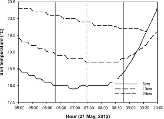 Fig.  9.  Temporal  variations(5-minute  averaging  mean)  of  soil temperature at the depths of 5 ㎝, 10 ㎝, 20 ㎝ at Busan during the eclipse day