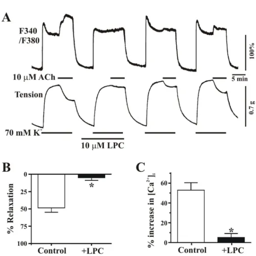 Fig. 3. Effect of LPC on ACh-induced changes of [Ca 2+ ]