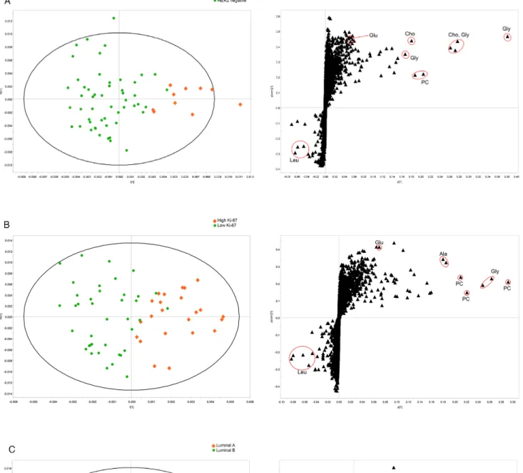 Figure 2: OPLS-DA score and loading S-plots of the HR-MAS MRS spectra for HER2, Ki-67 status, and luminal type.
