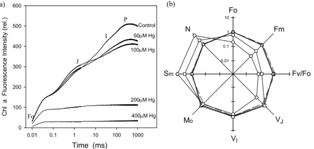 Fig. 3. Chlorophyll fluorescence O-J-I-P transients(A) and spider plots of selected parameters quantifying the behaviour of PS