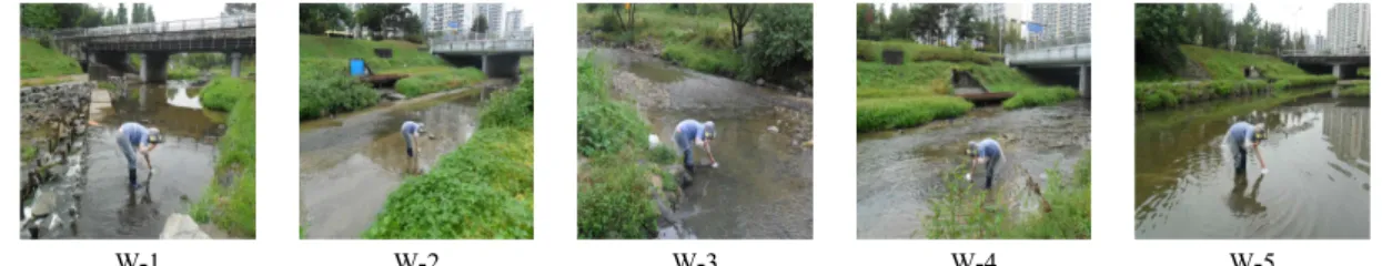 Fig. 3. Pictures of water sampling for mid stream (Point : W6 ~ W7).