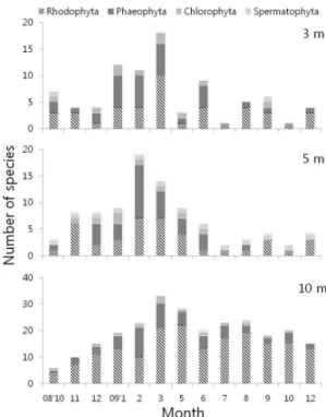 Fig. 2. The number of marine plants occurred at each depth  in Sageunjin.