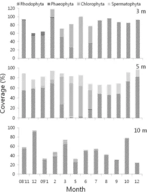 Fig.  3.  The  sum  of  coverage  of  marine  plants  occurred  at  each depth in Sageunjin.
