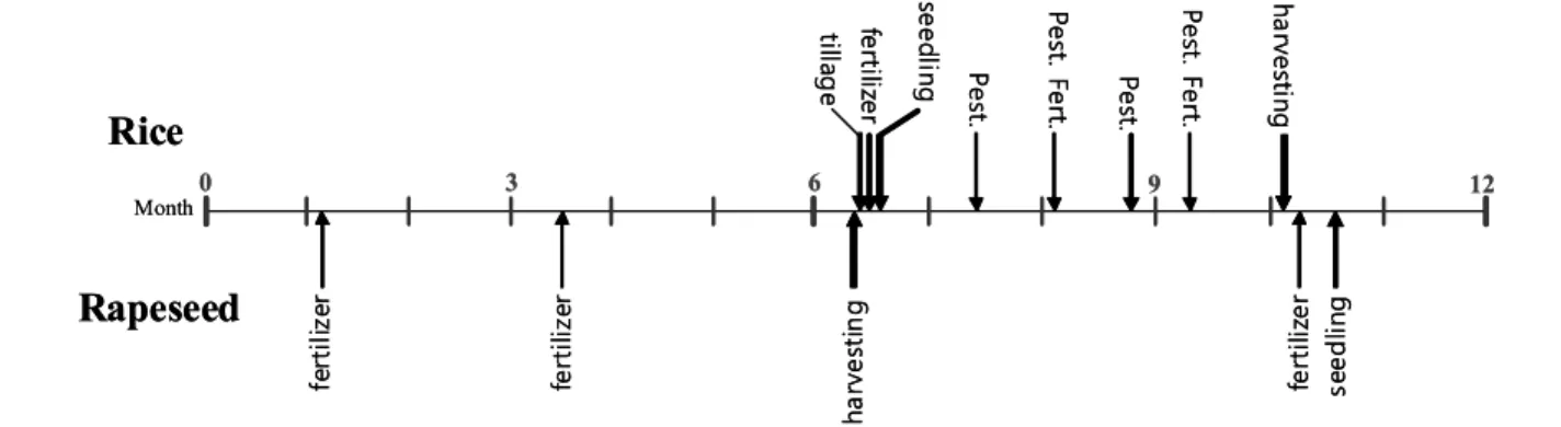Fig. 1. The life cycle of rice-rapeseed double-cropping system.