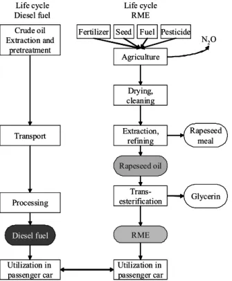 Fig. 2. Comparison of diesel and biodiesel system (adapted from Gartner et al., 2003).