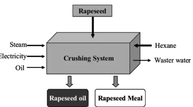 Fig. 4. Overview of life cycle analysis of rapeseed oil to biodiesel conversion process.