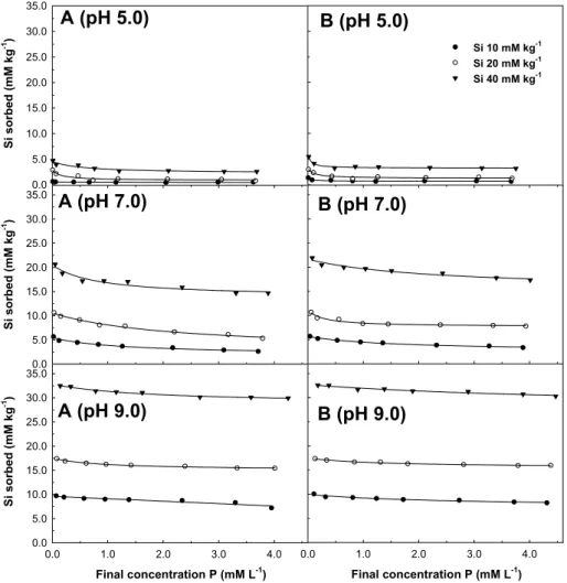 Fig. 3. Effects of pH and phosphate concentration on Si adsorption by soil. (A is P+Si system, B is Si/ P system)