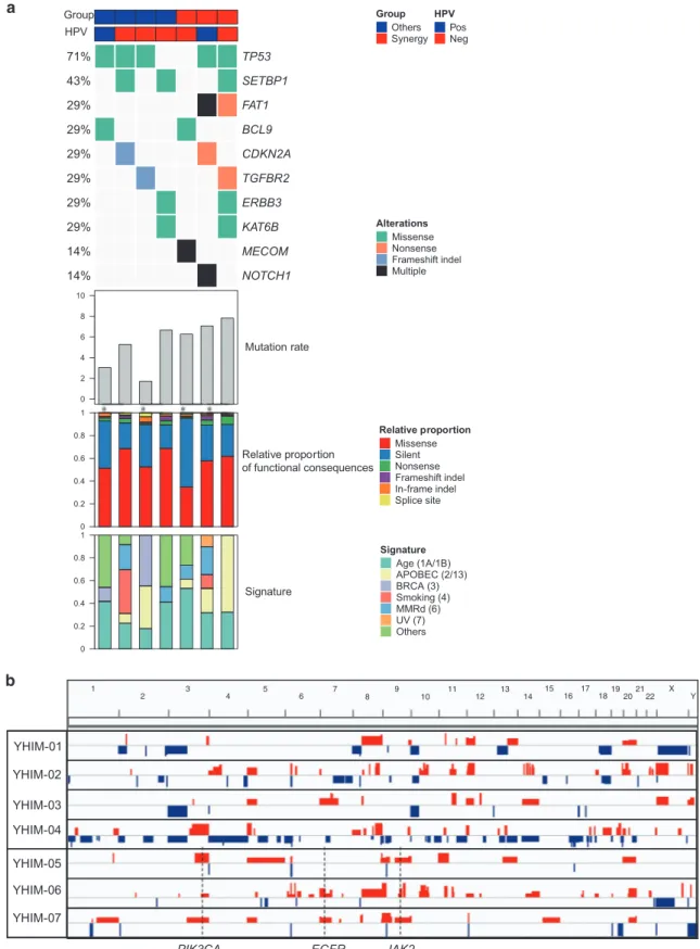 Fig. 3 Genetic alteration proﬁle in patient-derived xenograft models. a Somatic mutations in known cancer-related genes based on the