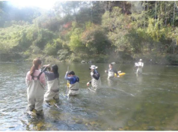 Fig. 2. Field-Flow Measurement.