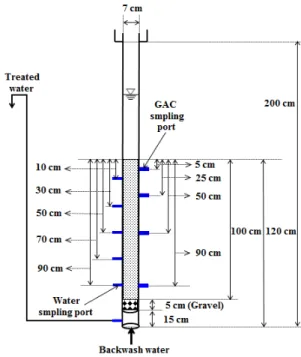 Fig. 2. Schematic diagram of biological activated carbon  (BAC) filter.