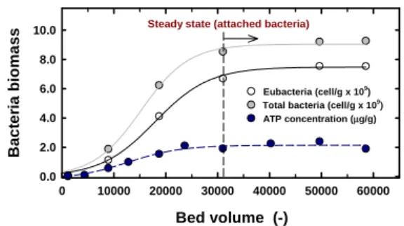 Fig. 4. Variations of attached bacteria biomass according to  the operated bed volumes.
