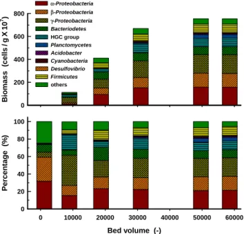 Fig. 5. Variations of attached bacterial biomass (up) and percentage (down) using FISH  method according to operated bed volume.