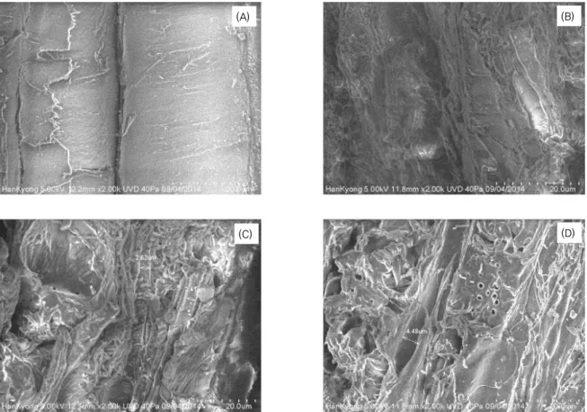 Fig. 3 SEM image of torrefaction woodchip: (A) Plain woodchip, (B) Woodchip torrefaction condition 220 ℃, 30 min, (C) Woodchip  torrefaction condition 250 ℃, 30 min, (D) Woodchip torrefaction condition 280 ℃, 30 min