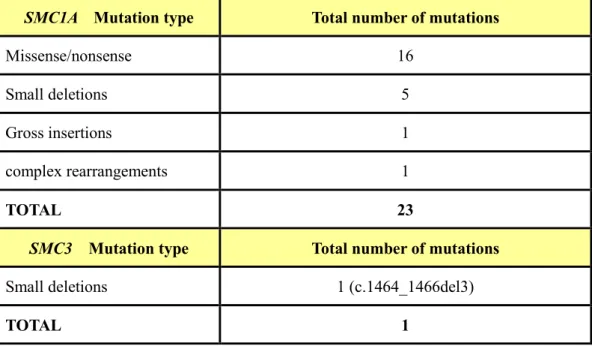Table 2. Summary of reported mutations of SMC1A and SMC3 gene in Cornelia de Lange  Syndrome (Human Gene Mutation Database 2009) 