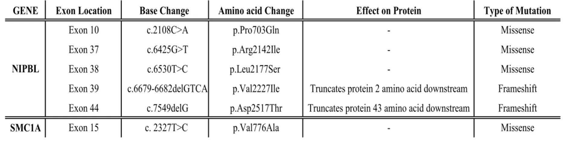Table 3. Summary of mutations in NIPBL and SMC1A genes identified in patients with CdLS 