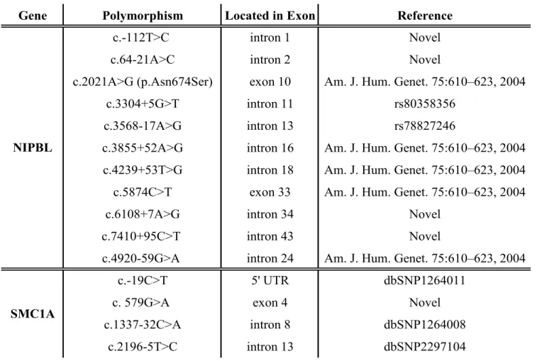 Table 4. Polymorphisms in NIPBL and SMC1A genes identified in 13 patients with CdLS 