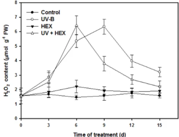 Fig. 4. Changes in H 2 O 2  content in cucumber leaves treated  with UV-B, HEX and their combination
