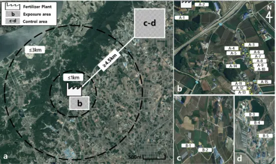 Fig. 2. Study area and deposited dust sampling point. (a) Study area, (b) Exposure area, (c-d) Control area