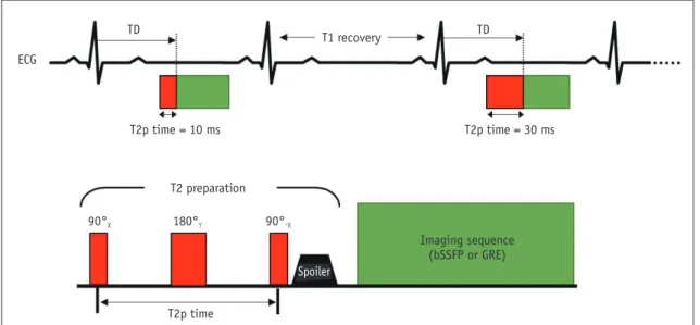 Fig. 6. T2 mapping scheme with T2 preparation modules.  T2-weighted images are acquired with different T2 preparation times, with same  trigger delay time (TD), to ensure same cardiac cycle phase during breath-hold