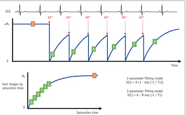 Fig. 5. Saturation recovery single shot (SASHA).  SASHA method acquires data at successive heartbeats by saturation recovery over RR- RR-interval at different saturation times, using initial unperturbed image