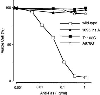 Fig. 4 The mouse WR19L cell line expressing recombinant human FAS protein with (T1102C, A978G, 1095 ins A) or without (wild type) mutations were incubated with various concentrations of  anti-FAS antibody at 37.0°C for 16 h