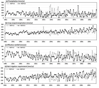 Fig. 4  Comparison of simulated annual precipitation, crop evapotrans- evapotrans-piration, effective rainfall, and net irrigation requirement using  observed weather data and RCPs climate change data (crop: 