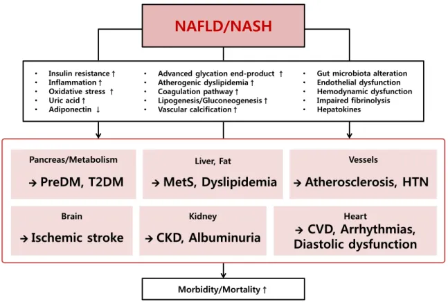 Fig. 1. Putative pathophysiologic mechanisms and associations between non-alcoholic fatty liver disease (NAFLD)/non-alcoholic 