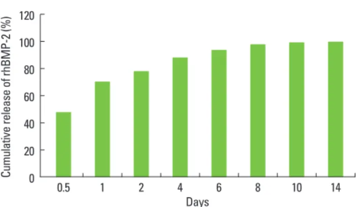 Figure 1.  Kinetics of recombinant human bone morphogenetic pro-