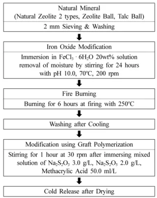 Fig. 1. Mechanism for bipolar surface modification using the iron oxide-graft polymerization