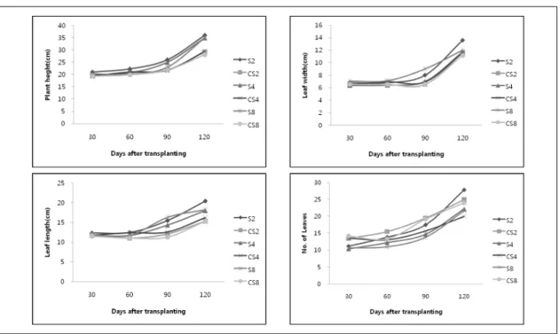 Fig. 3. Change in plant height, leaf width, leaf length and number of leaves of Diffenbachia amoena 'Marianne' due  to different  length and number of slitwall in drainless containers.