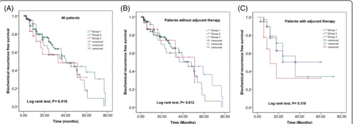 Fig. 1 Kaplan-Meier curves for BCR-free survival according to the location of metastatic lymph nodes in (a) all patients (b) patients without adjuvant therapy, and (c) patients with adjuvant therapy