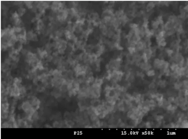 Fig. 3. Scanning electron microscopy images of TiO 2 .
