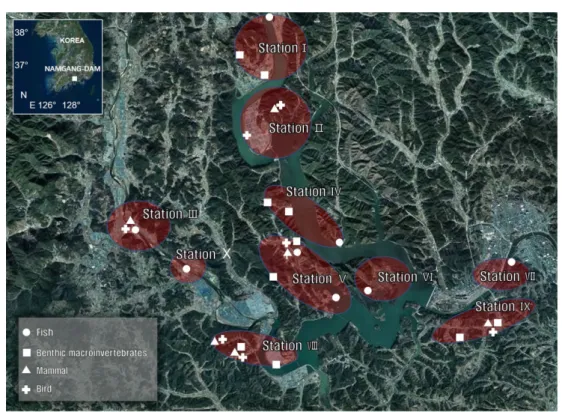 Fig. 1. Map of collection sites in the Jinyangho lake and neighboring area; the red circle indicates the study area.