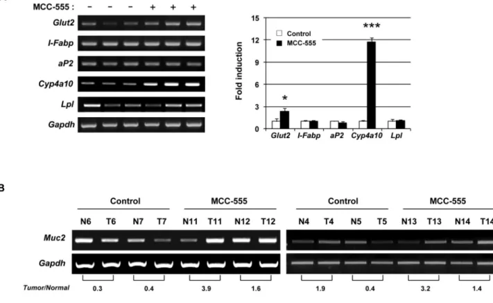 Figure 5. Expression of PPARγ and/or PPARα target genes from control and MCC-555-treated mice