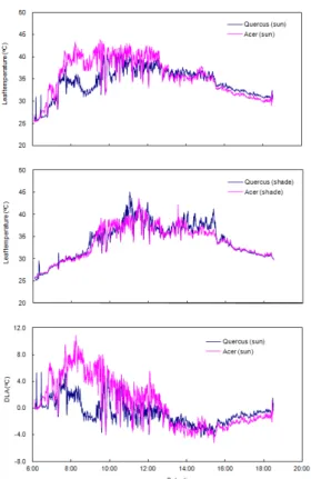 Fig. 2. Changes in leaf temperature of Q. glauca and  A. 