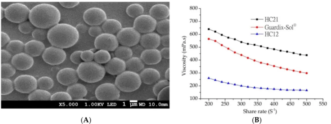 Figure 2. (A) SEM image of oxaliplatin-PLGA microparticles (at X5.000 magnification); (B) rheology 