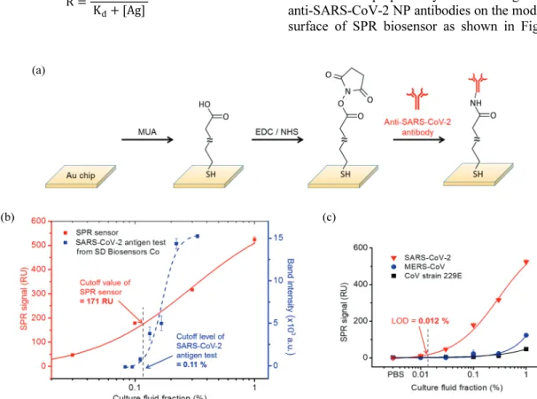 Fig. 4. SPR biosensor for the immunoassay of SARS-CoV-2 in culture fluid. (a) Immobilization of the isolated antibodies against  SARS-CoV-2 NP from pig sera to the modified SPR biosensor surface