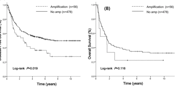 Figure 2: Survival analysis according to PIK3CA amplification.  A. Median disease-free survival (DFS) was 33.4 months in  the PIK3CA amplification group and 63.1 months in the no amplification group